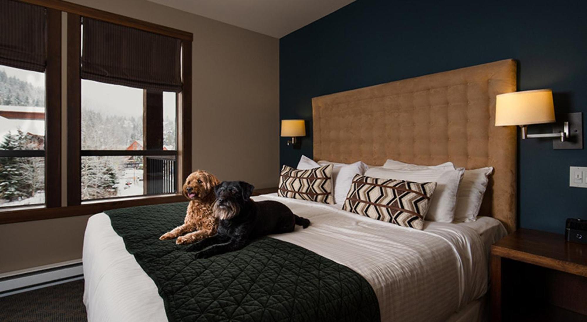 Aparthotel Evolution Whistler Zewnętrze zdjęcie